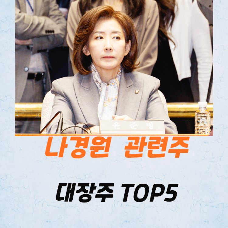 나경원 관련주 대장주 테마주 수혜주 TOP5