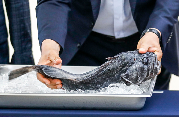 서울 동작구 노량진수산시장에서 우리 수산물 지키기 운동본부 발대식이 마친 뒤 열린 우리 수산물 소비촉진 행사에서 한 참석자가 우럭을 들고 있다. 본 기사와 무관한 이미지. [사진=뉴시스]