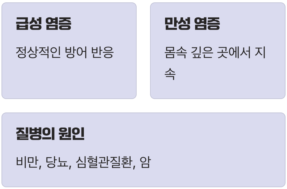 몸속의 불씨, '만성 염증'이 무서운 이유