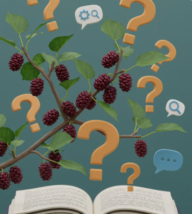 자주 묻는 질문 (FAQ) 1