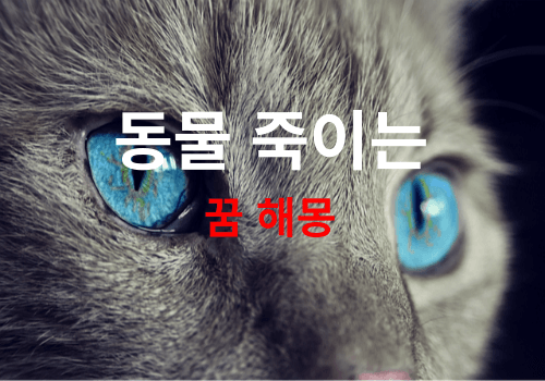 내가 죽인 동물이 나오는 꿈은 길몽? 흉몽? ( 동물 죽이는 꿈 해몽 풀이 )