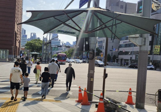 2025 서울 폭염 대비 필수 정보 총정리