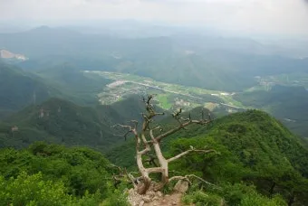 충북 보은 구병산 최단 등산코스 난이도 거리 정보 정리_10