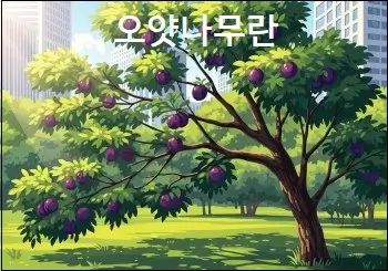 오얏나무란