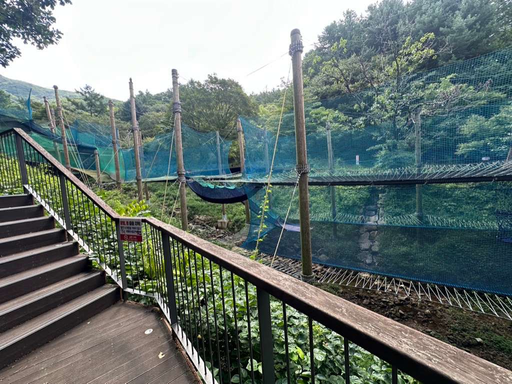 하늘 네트 어드벤처