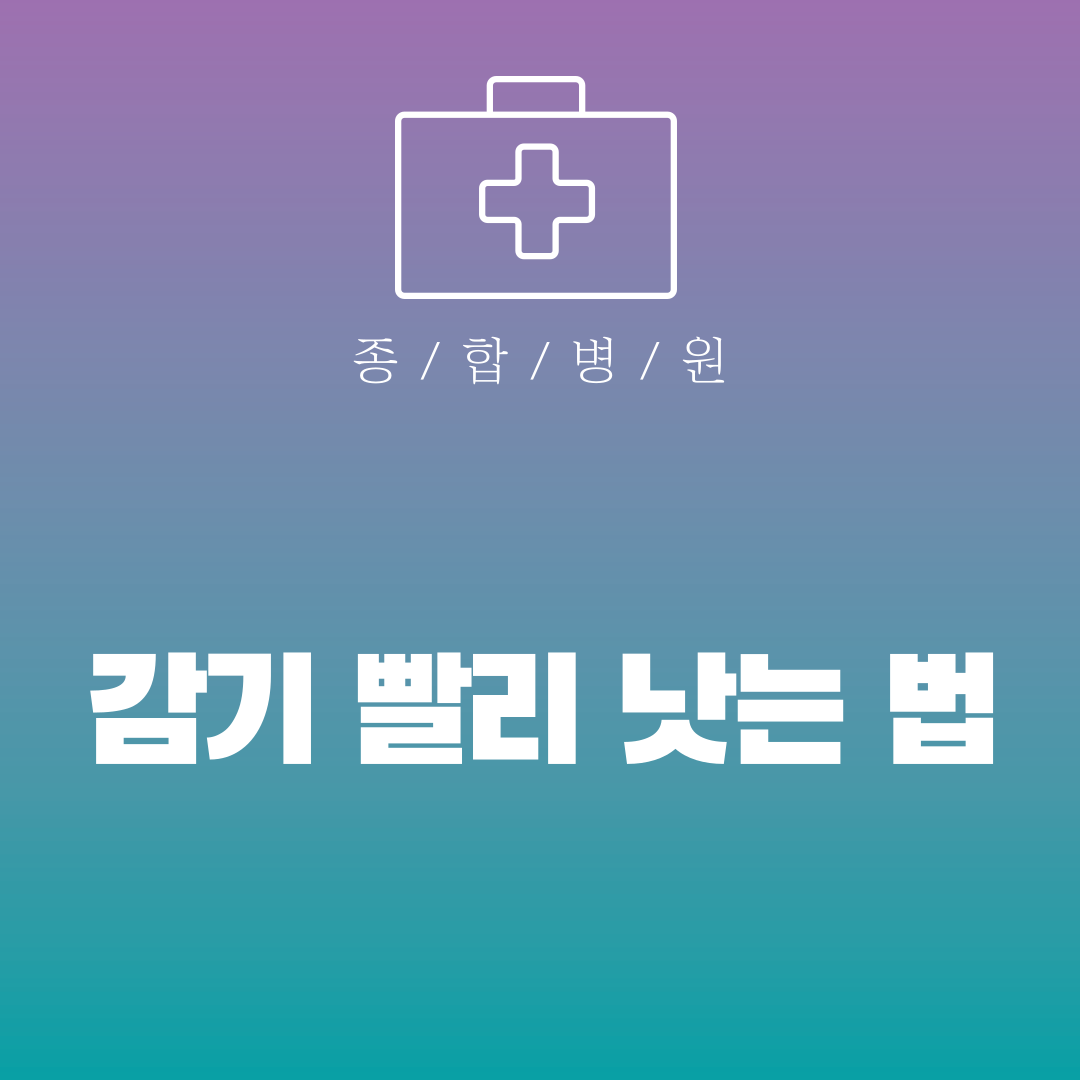 감기 빨리 낫는 법