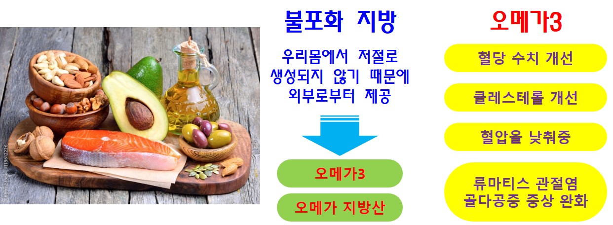 콜레스테롤