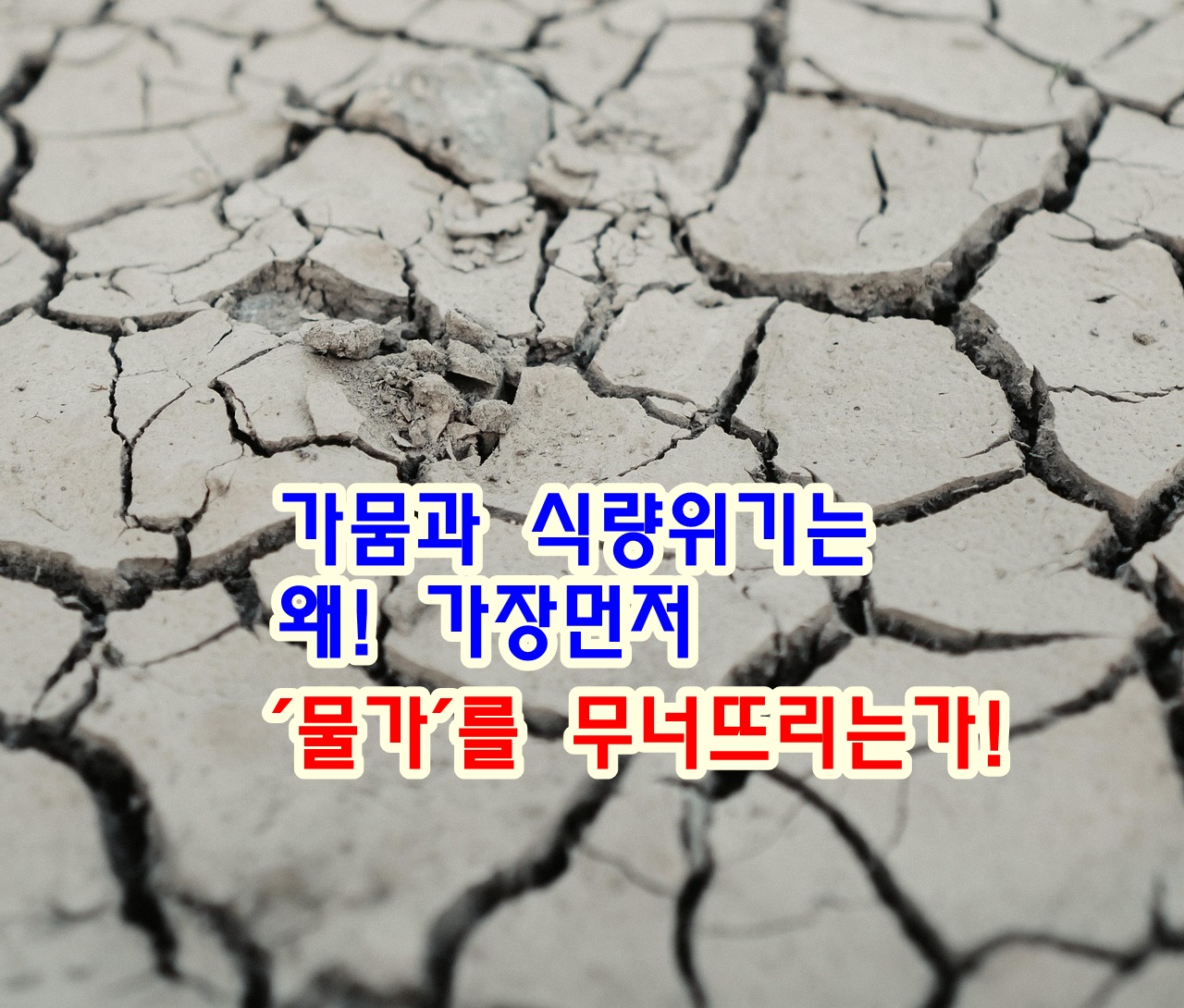 가뭄과 식량 위기는 왜 가장 먼저 &lsquo;물가&rsquo;를 무너뜨리는가!