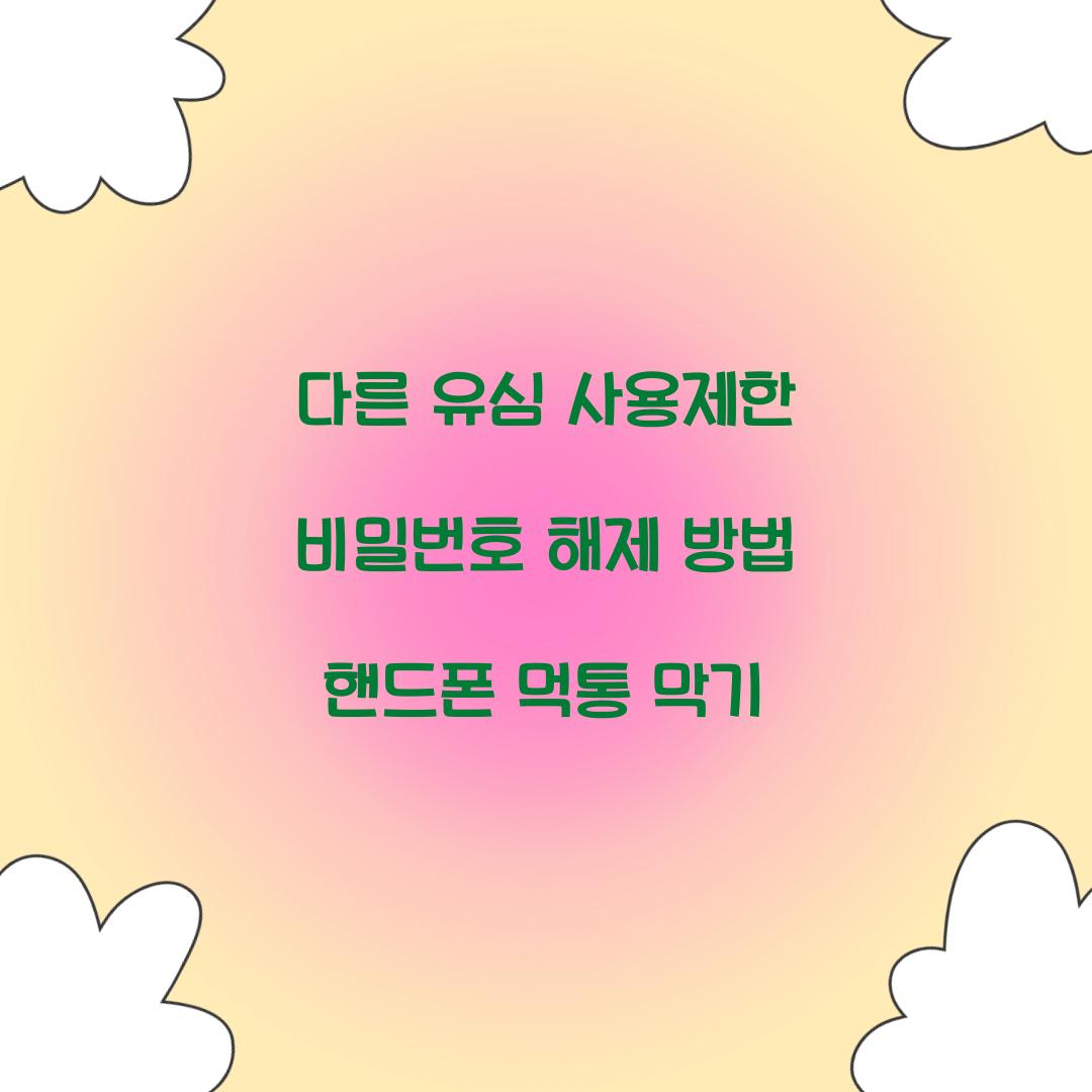 다른 유심 사용제한 비밀번호