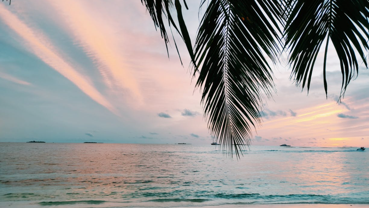 사이판 여행하기 좋은 달 계절