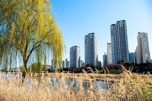 전세 사기 예방법