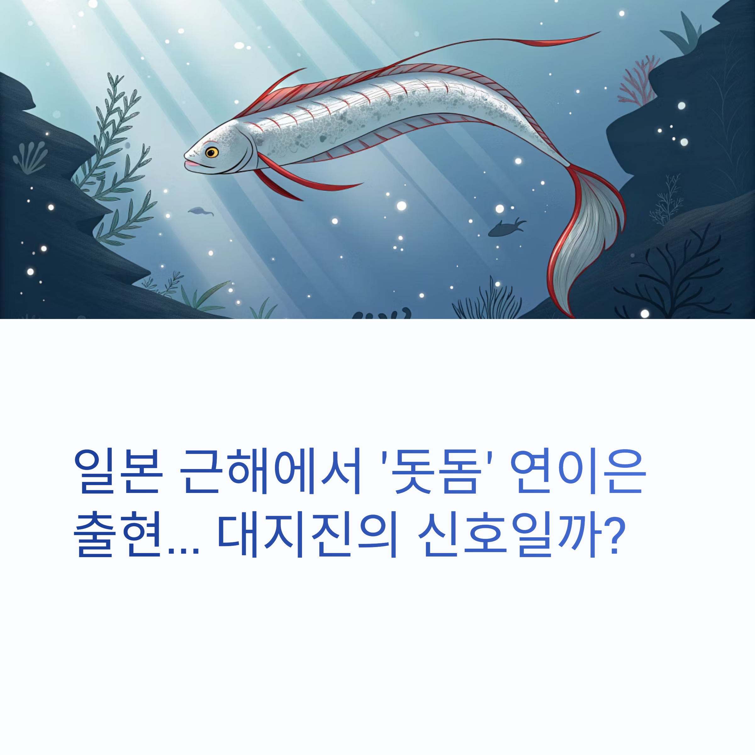 日 대지진 전조? ‘돗돔’ 연이은 출현에 긴장 고조