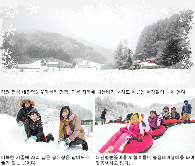 평창 알렌시아 리조트 호텔 예약하러 가기