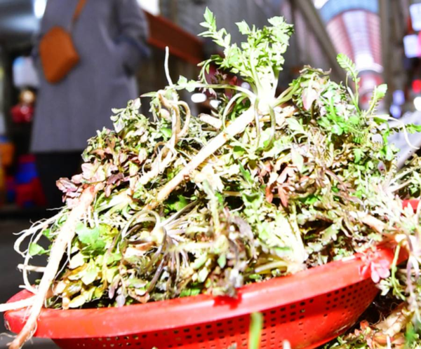 3월제철음식 냉이