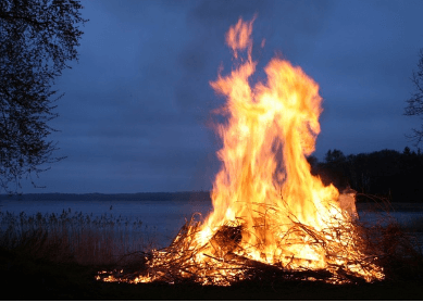 산불 자연발화 (예방법 + 대응 요령)