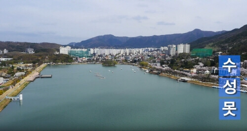 대구 수성못 호수 사진