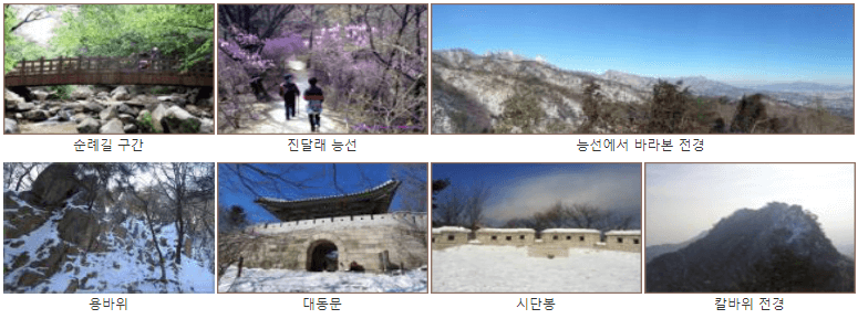 볼거리