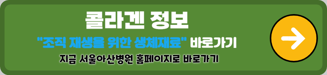 콜라겐 많은 음식 총정리, 5분만에 알아보는 피부 건강의 비밀