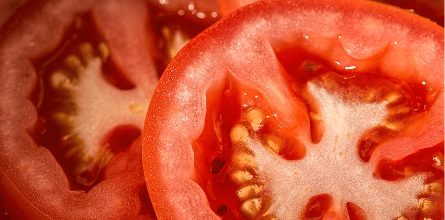 가지런히 잘라져 있는 토마토