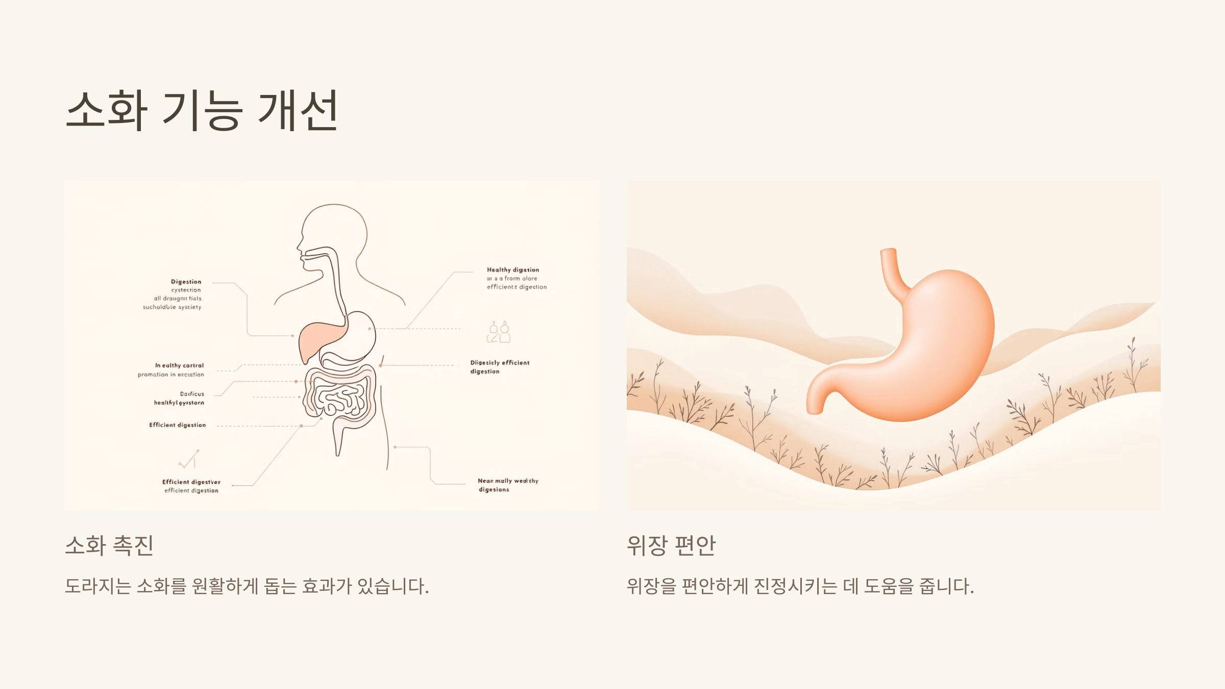 도라지 사진입니다.