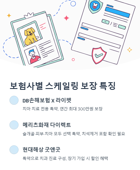 보험사별 스케일링 보장 특징