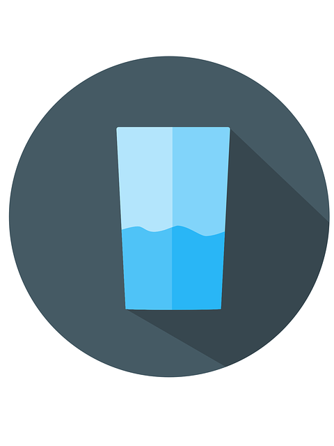 여름철 반려동물 건강 관리