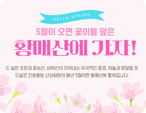 2025 황매산 철쭉축제