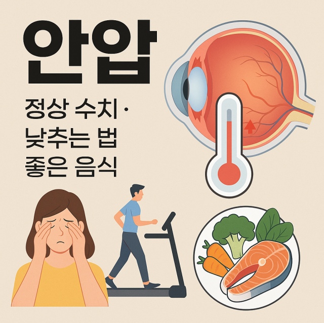 안압 정상 수치와 낮추는 법, 안압에 좋은 음식을 설명하는 대표 이미지