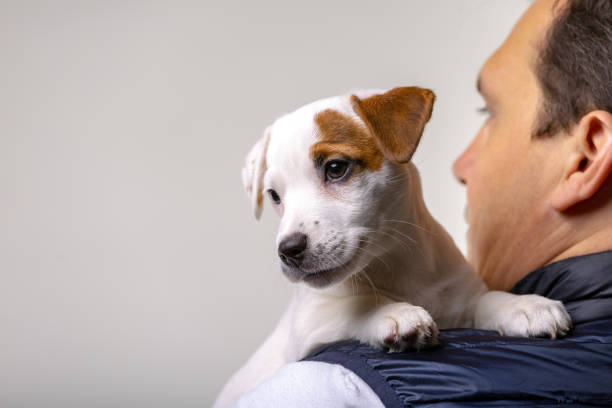 산책과 외출 필수품