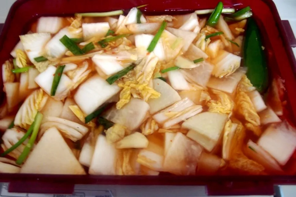 나박김치 맛있게 담그는법 양념 비율 숙성_5