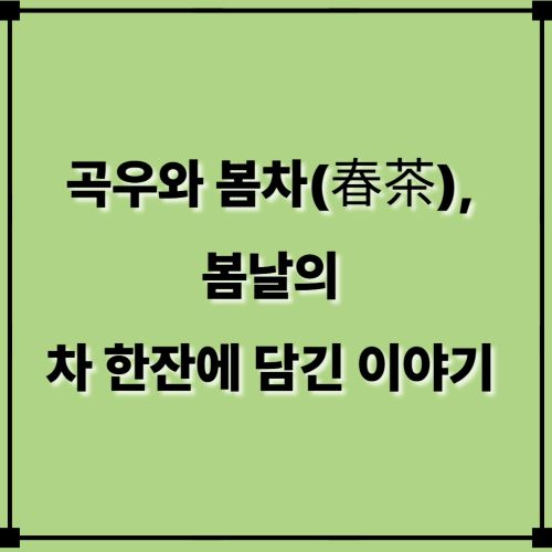 곡우와 봄차(春茶), 봄날의 차 한잔에 담긴 이야기