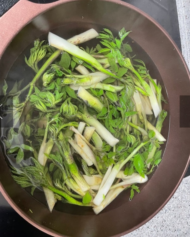 남해-땅두릅-짱구농산