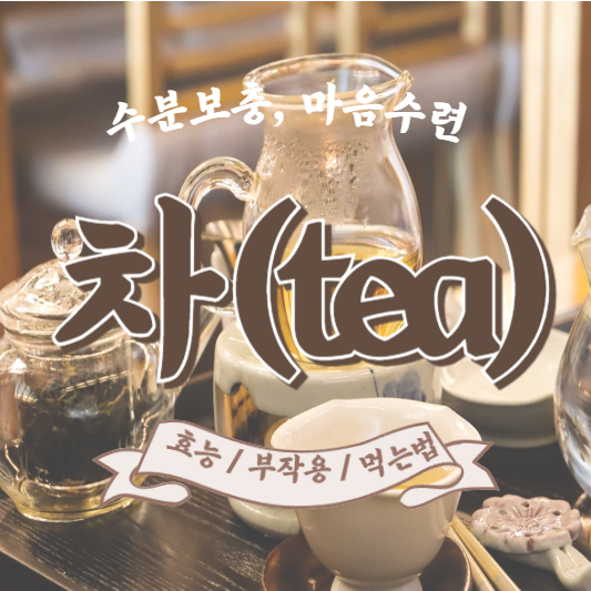 마시면 몸에 좋은 차 추천 (효능, 부작용)