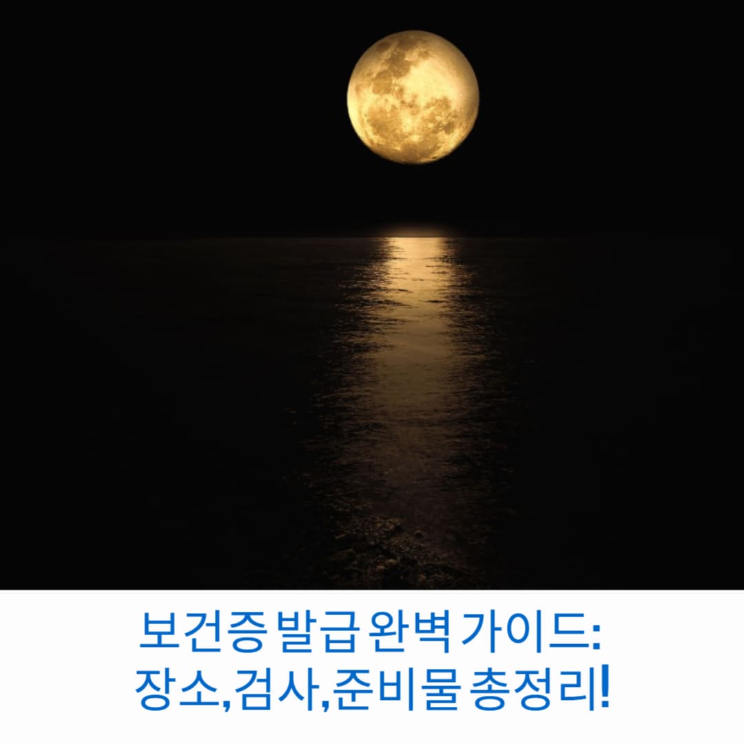 보건증-발급-완벽-가이드-장소-검사-준비물-총정리-썸네일