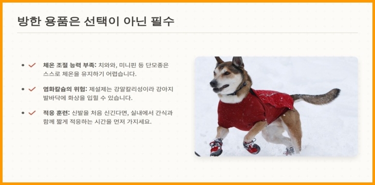 강아지 방한 용품