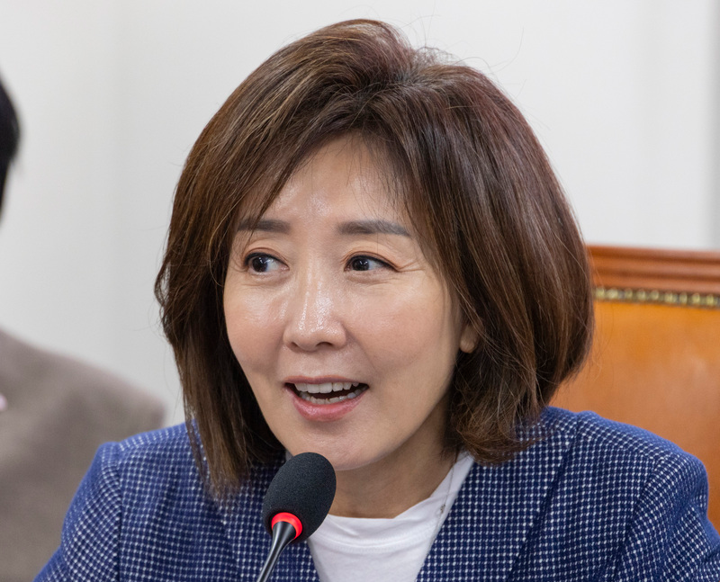 나경원 감사서한, 젤렌스키에게 보낸 이유와 민주당과의 공방 정리 참고 이미지 2
