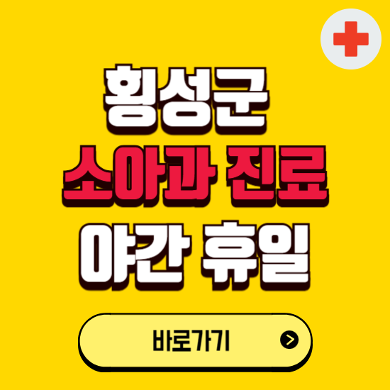 횡성군 야간 소아과 진료병원 찾기 ❘ 24시 일요일 주말 연휴 응급진료 추천 잘하는 곳