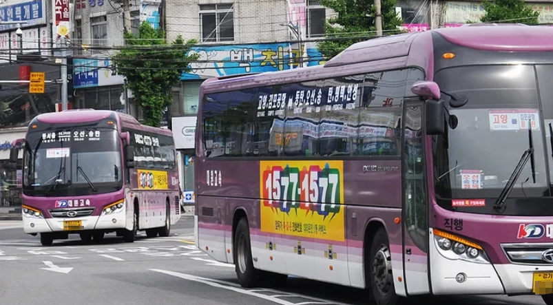 버스 노란색 번호판