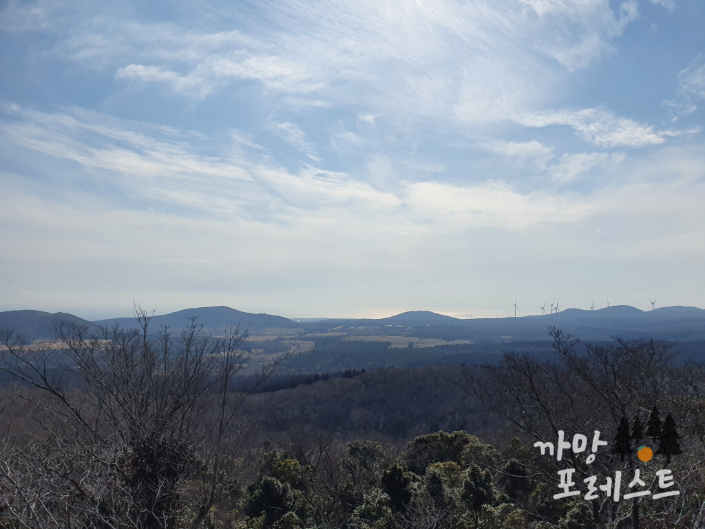 붉은 오름 정상 풍경