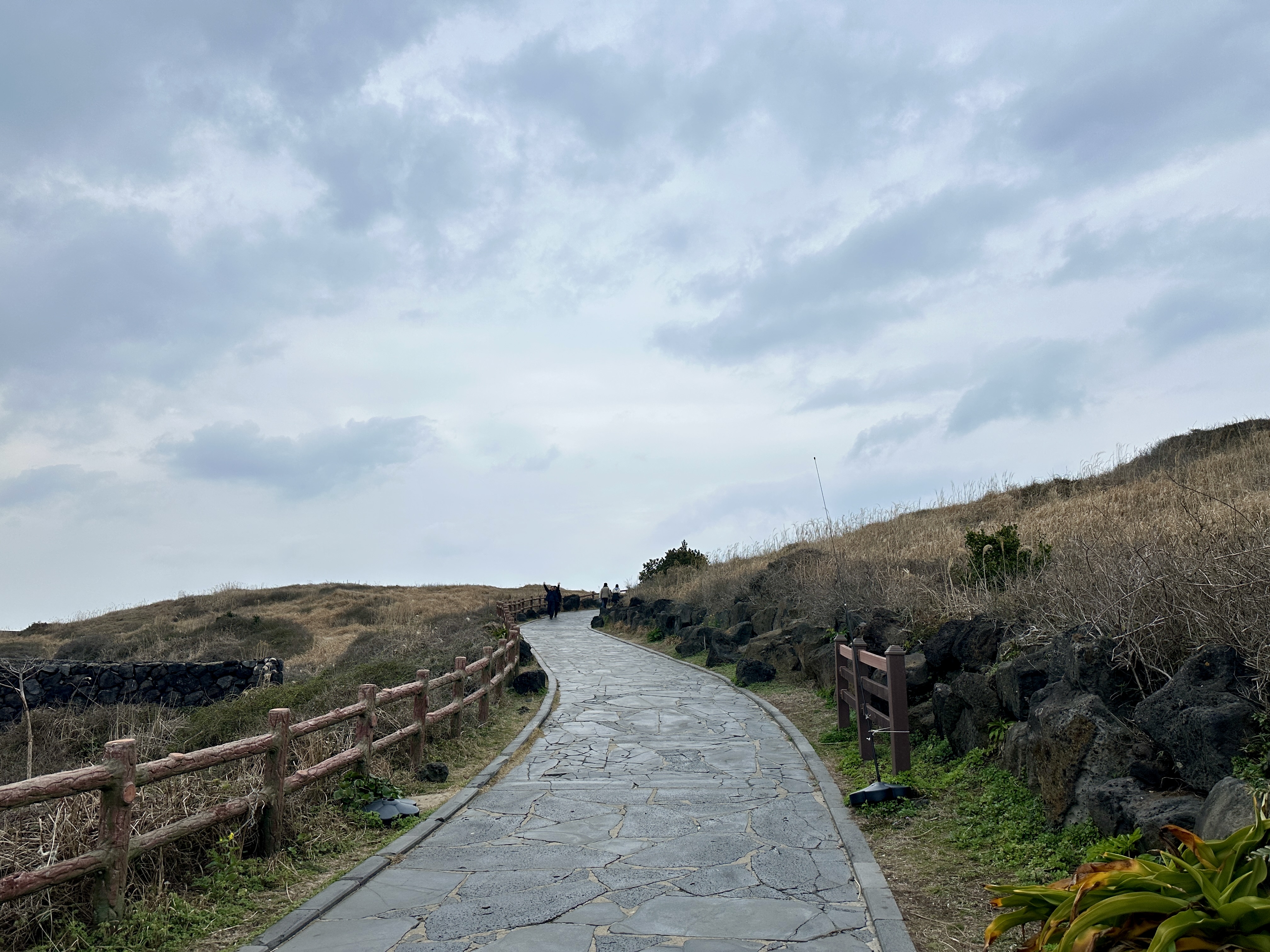 섭지코지 가는길