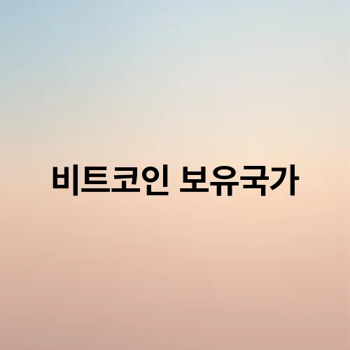 비트코인 보유국가