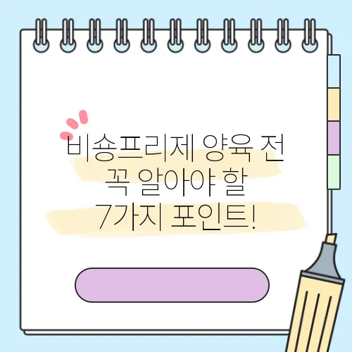 비숑프리제 양육 전 꼭 알아야 할 7가지 포인트!