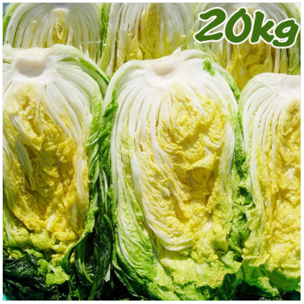 2025년 김장준비! 절임배추 예약하는 방법&amp;#44; 할인&amp;#44; 배송하는 방법