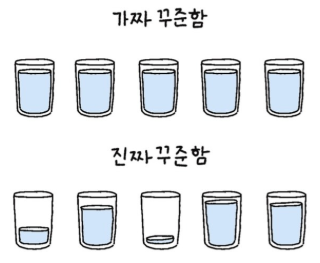 꾸준함