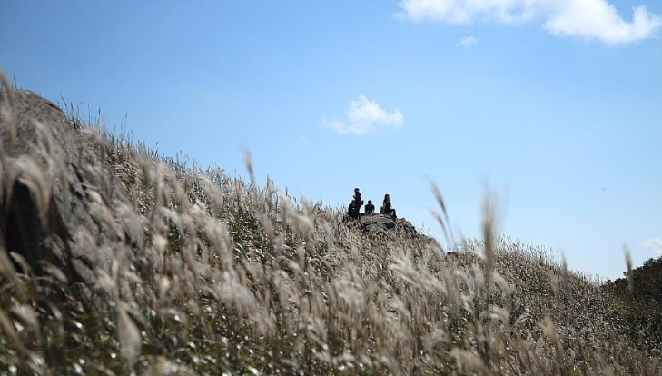 [단풍명소] 가을 여행지 베스트 50 - 서울, 경기도, 충남, 충북, 경북, 경남, 전남, 전북, 강원도, 제주