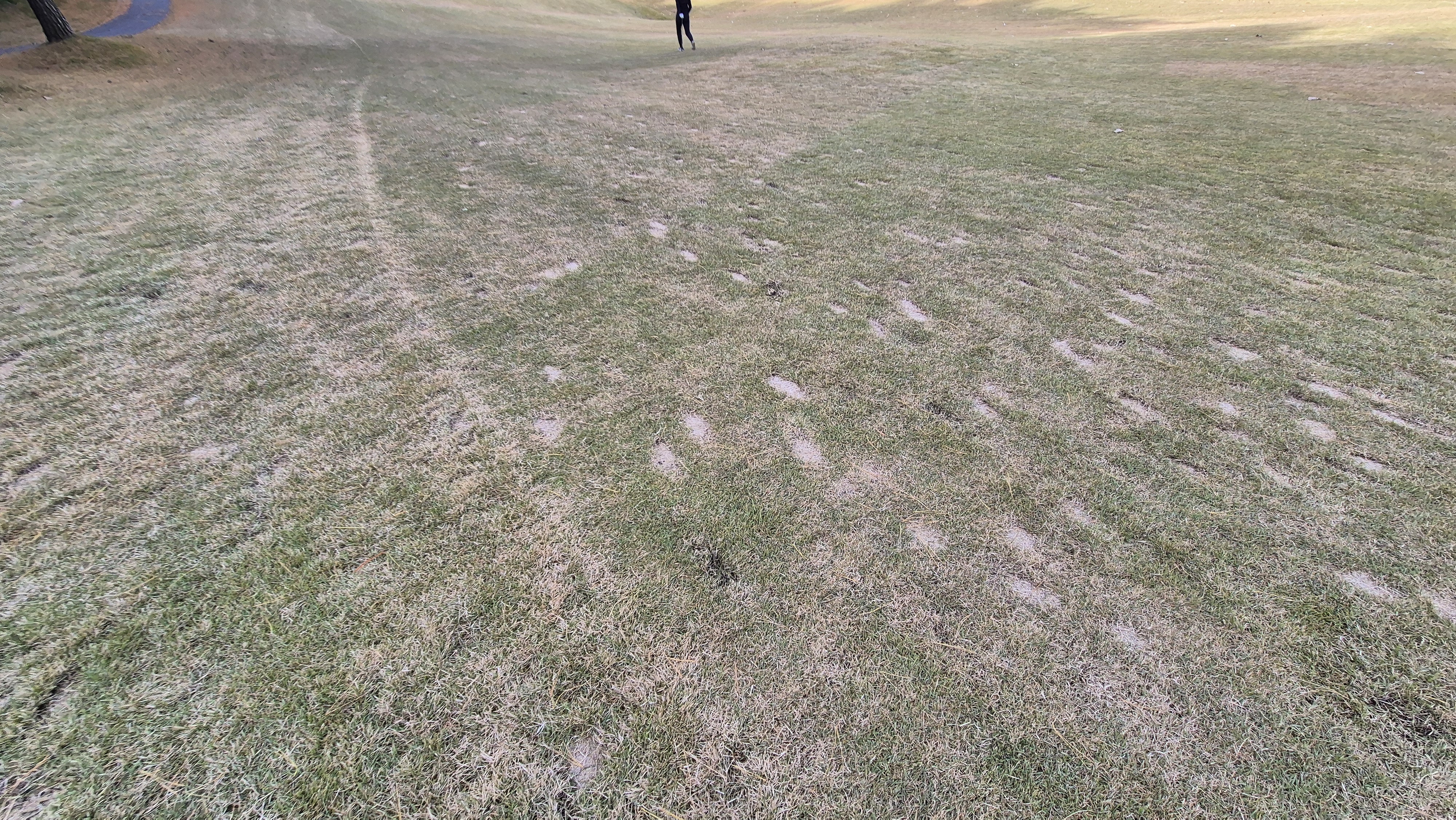 세종에머슨cc 밸리-마운틴 코스난이도