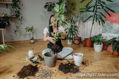 봄을 집으로 초대하는 법 – 인테리어에 생기를 불어넣을 식물 7가지!