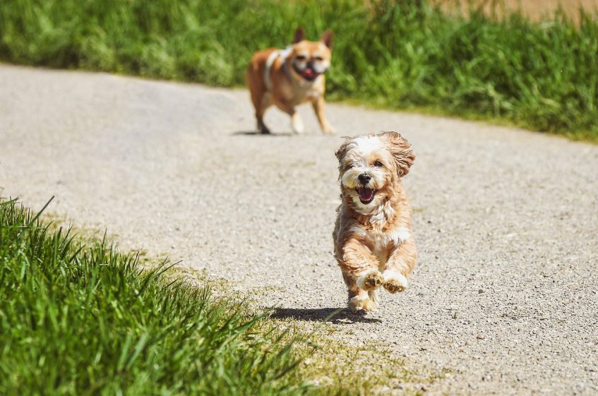 건강염려증 완벽 이해하기 — 과도한 건강 걱정에서 벗어나기