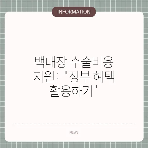 백내장 수술비용 지원: 