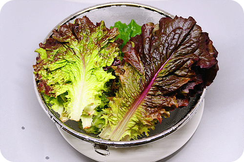 상추-겉절이-만드는법